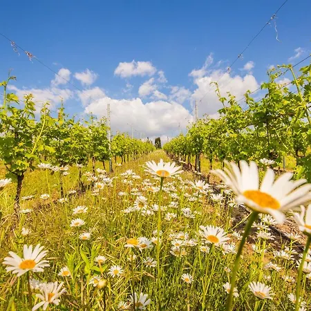 Сasa de vacaciones Valpolicella Homes Recioto
