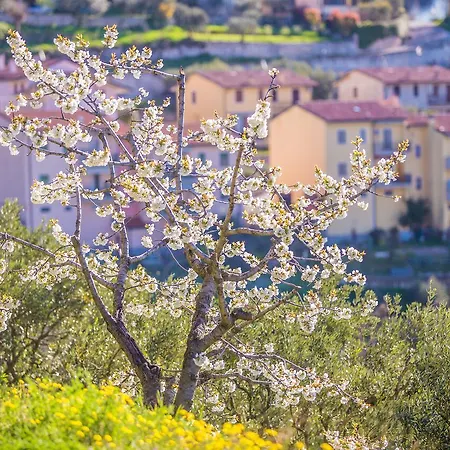 Сasa de vacaciones Valpolicella Homes Recioto *